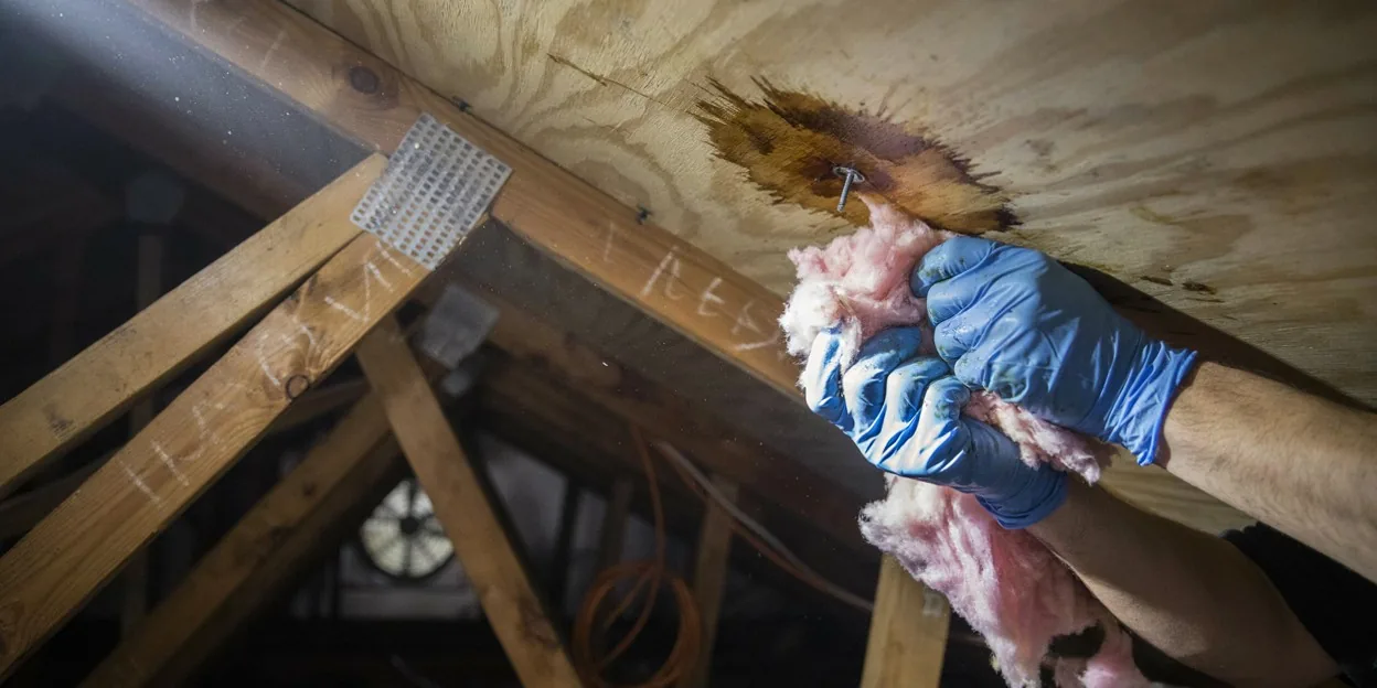 Roof Leak Water Damage in Kennesaw, GA